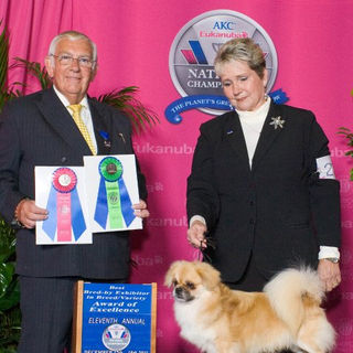 GCH Oak's Tuqute Jomocha Latte, BBE & Award of Excellence
