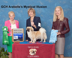 2017 Award of Merit