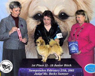 2003 1st Place 12-18 Bitch in Sweepstakes