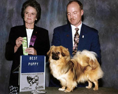 1995 Best Puppy