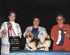 1994 Best of Breed