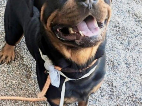 Xander has left the building...