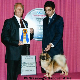 CH Wassong's Hanover Alice, BOB