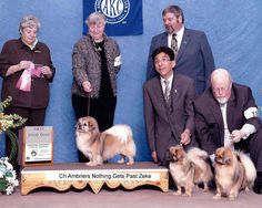 2010 1st Stud Dog
