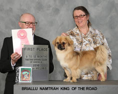 2016 1st 9-12 Puppy (Dog)