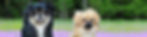 Breeders directory