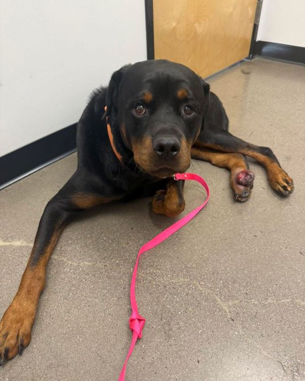 Waiting at Dr. Carr's clinic.