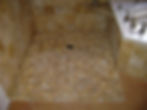 Project 7 -After