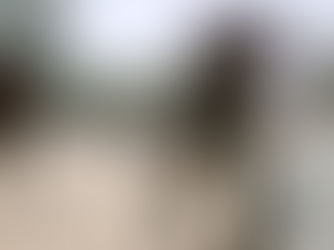 Mali: des tirs sur la base de Kati, l’Armée malienne rassure.