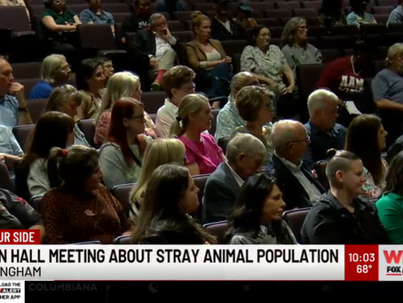Safe Streets Start with Strong Animal Control