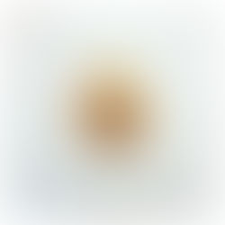 Millet grains + roasted tomatoes, kohlrabi and sweet potatoes with a crust from bread crumbs, parmes