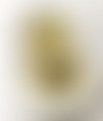 Soup with tofu, spring onions, leek, potatoes, red beans and some cream