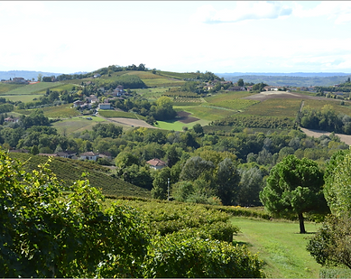 TAPPA 10_CASTAGNOLE LANZE - CANELLI2.png