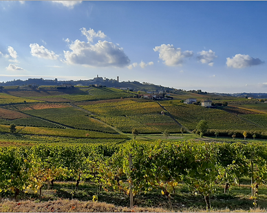 TAPPA 10_CASTAGNOLE LANZE - CANELLI3.png