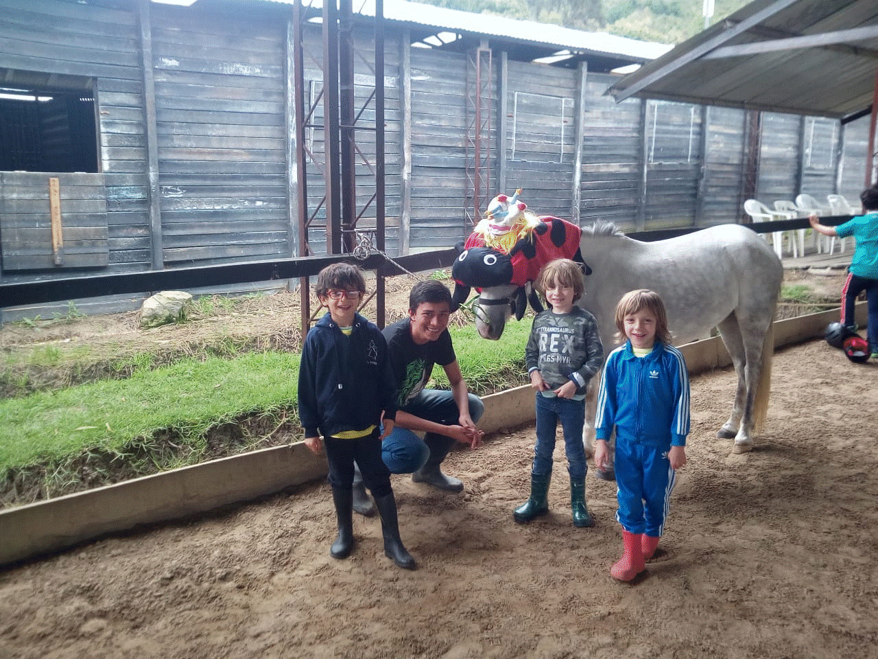 equita.gif
