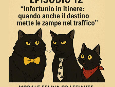 LA VOCE DEI GATTI DI 626 SCHOOL - Infortunio in itinere sicurezza sul lavoro