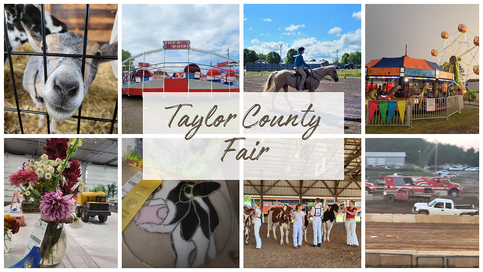 TC Fair pic collage 2.png