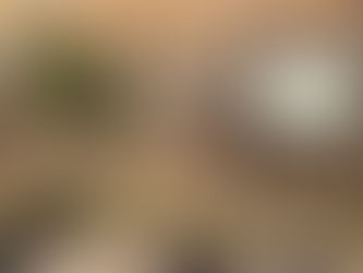 Frühjahresputz in Schriesheim