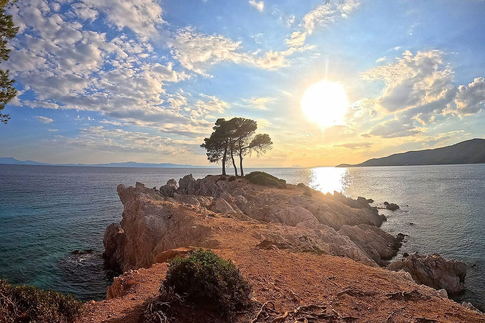 Why visit Skopelos Island - a Fantastic choice for Summer Holidays 2026 !! 