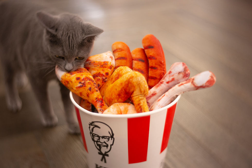 貓草玩具 100% Organic Catnip meat toys