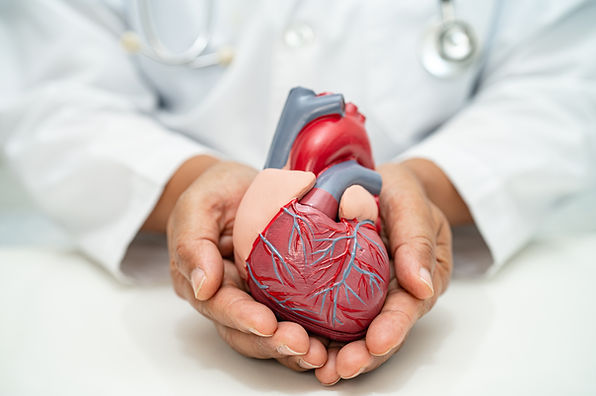 Heart Disease Education