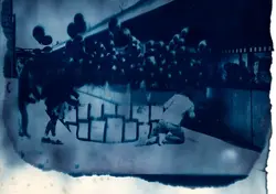 Cyanotypes 2015