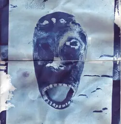 Cyanotypes 2015