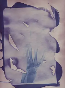 Cyanotypes 2015