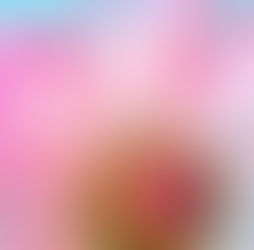 Makro lens alan derinliği