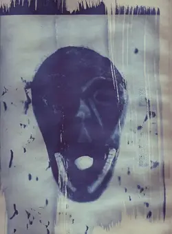 Cyanotypes 2015