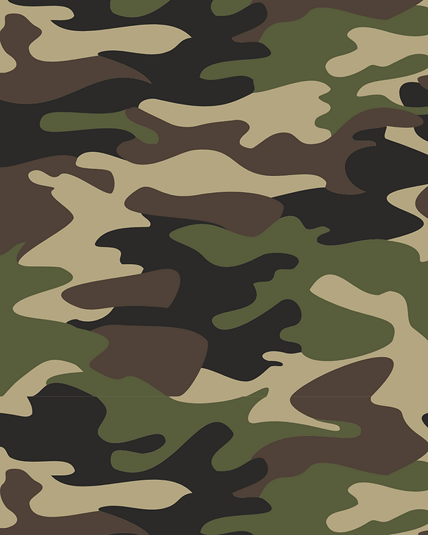 Untitled design (1).png