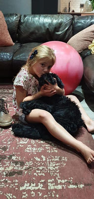 Arolo - Le Roc Giant Schnauzer