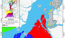 N Esp trabalho 8.jpg