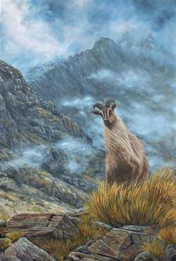 "Facing the Storm" by Thomas van den Bergh