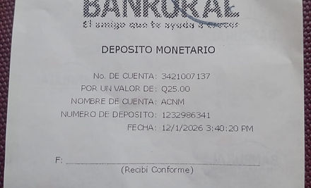 Ejemplo Boleta.jpg