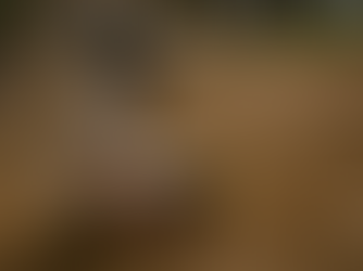 Girls softball catcher sitting in the dirt catching a softball