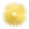 UNIQUENESS AUTHENTIC EXPRESSION.png
