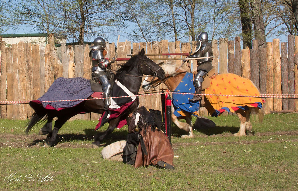 Jousts