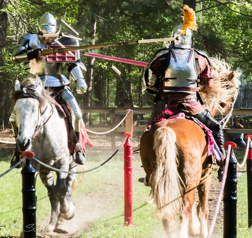Joust