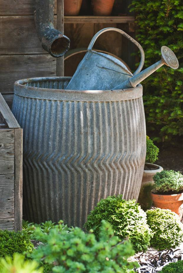 Rewild My Street wild makeover tip: April