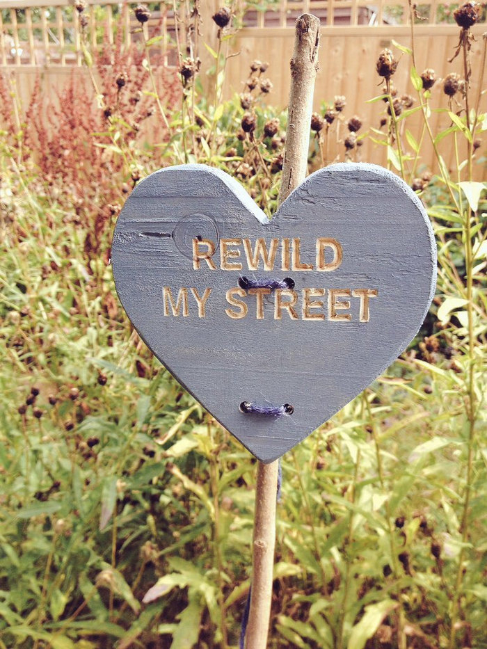 Rewild My Street wild makeover tip: February