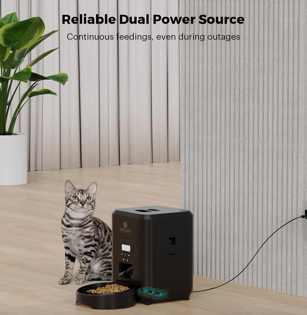 Thumbnail: Smart Automatic Pet Feeder