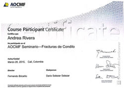 Certificaciones de Congresos y Cursosn_8