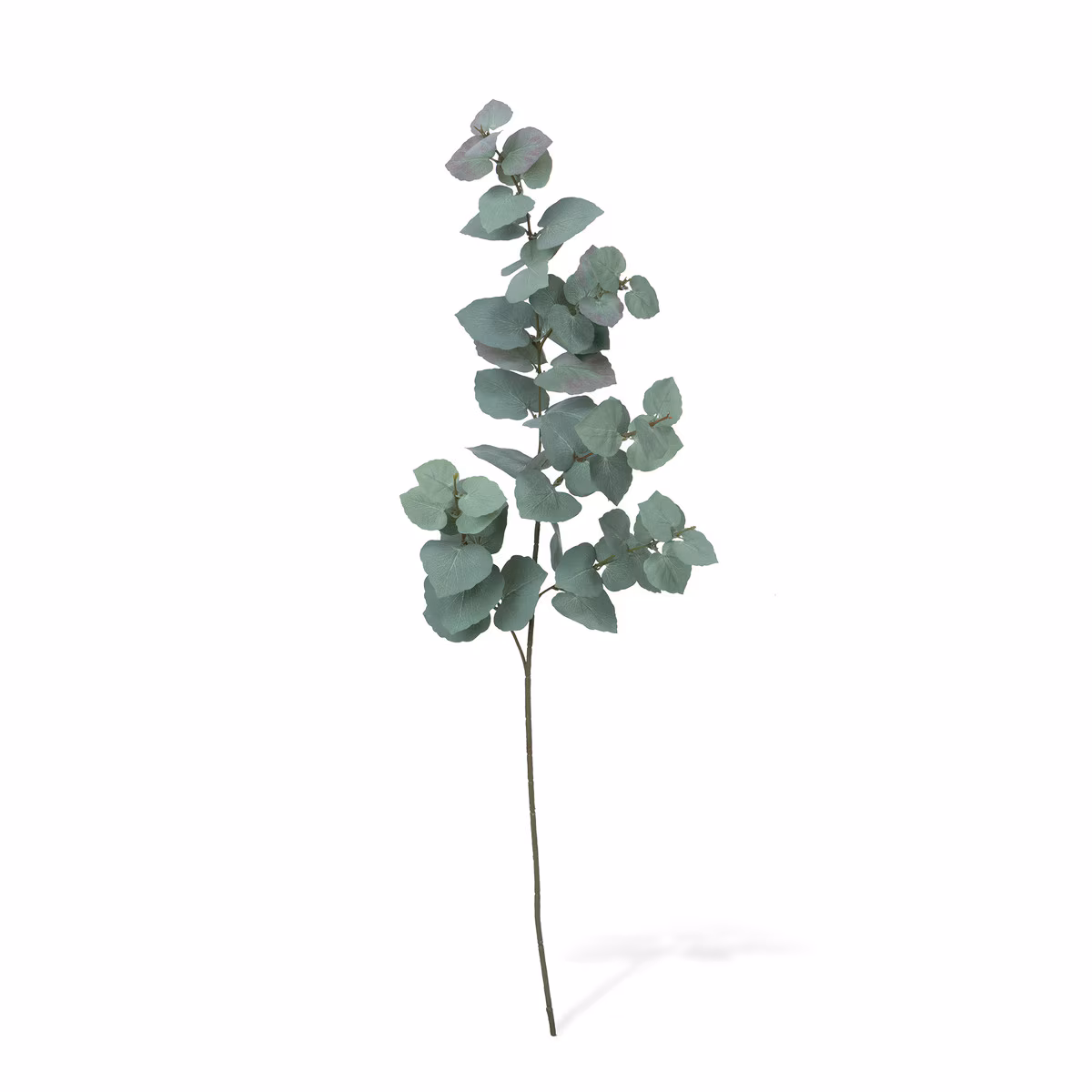 Faux Floral Stem Selection Package. Assorted Market Selection  Silver Dollar Eucalyptus Stem. L17" x