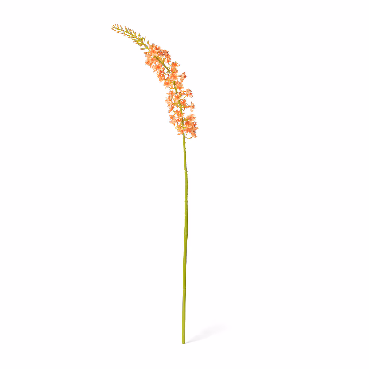 Faux Floral Stem Selection Package. Assorted Market Selection  Eremurus Stem, Small. L3" x W3" x H32