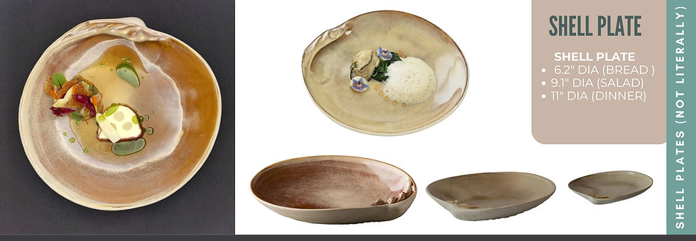 AQUALUXE YACHT PLATES 1 (9)_edited.jpg