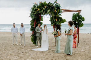 lilysebaPALMAR-6248-2