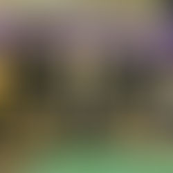 Mystery BINGO Fundraiser