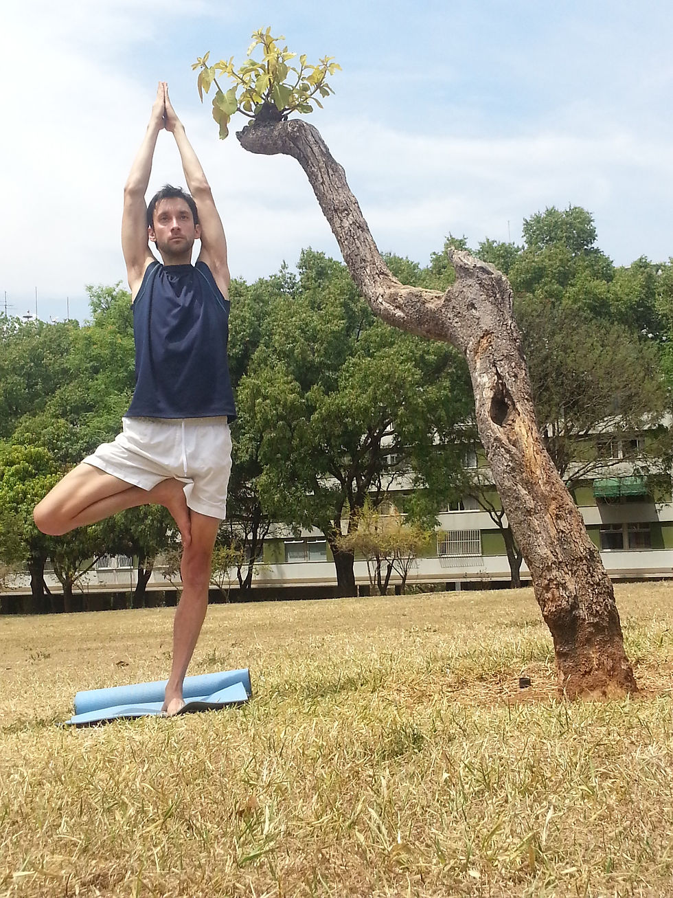 Tree pose.jpg