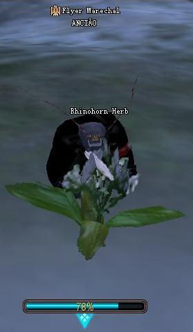 ree